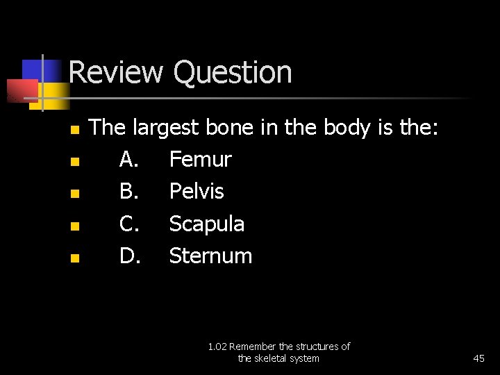 Review Question n n The largest bone in the body is the: A. Femur