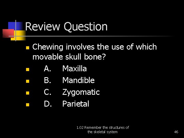 Review Question n n Chewing involves the use of which movable skull bone? A.