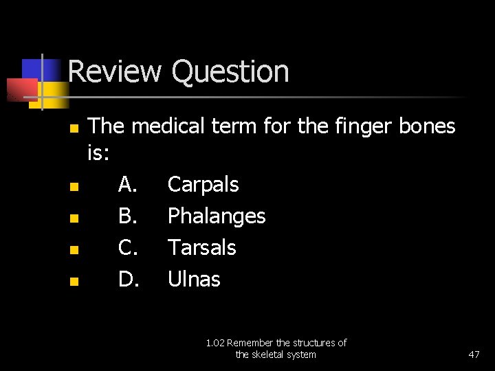 Review Question n n The medical term for the finger bones is: A. Carpals