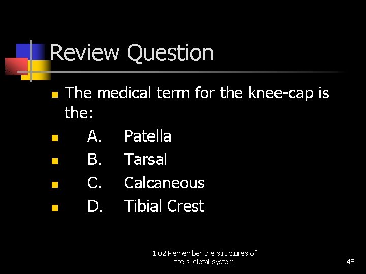 Review Question n n The medical term for the knee-cap is the: A. Patella