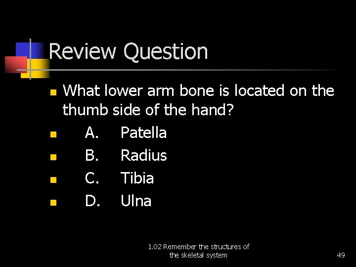 Review Question n n What lower arm bone is located on the thumb side