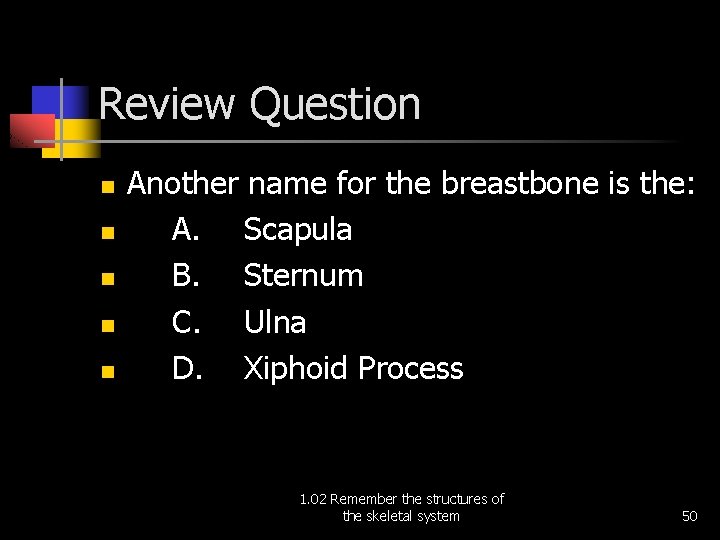 Review Question n n Another name for the breastbone is the: A. Scapula B.