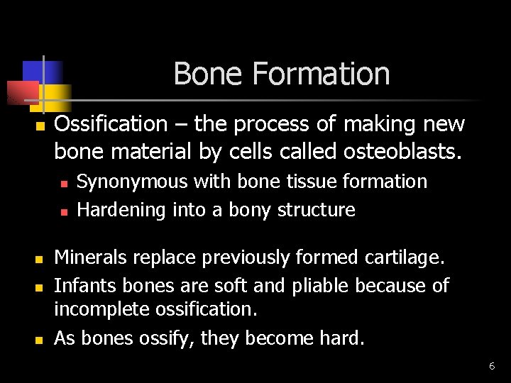 Bone Formation n Ossification – the process of making new bone material by cells