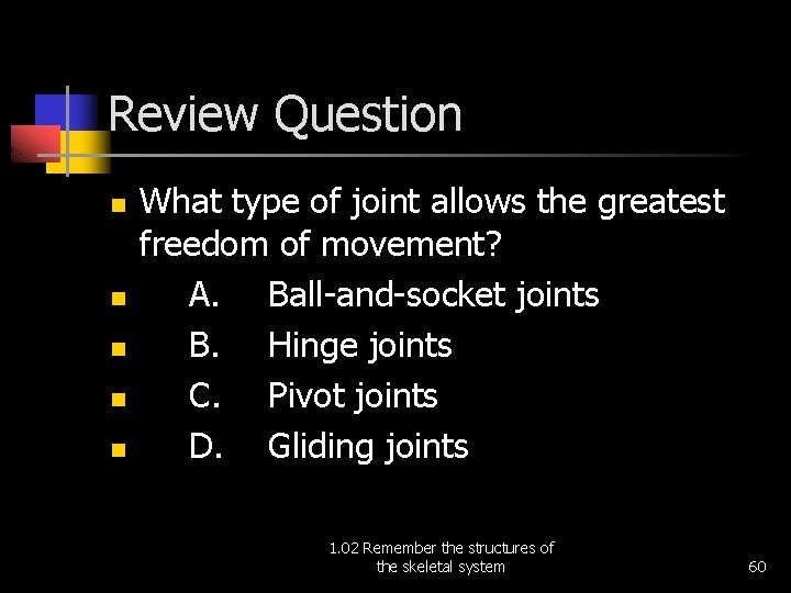 Review Question n n What type of joint allows the greatest freedom of movement?