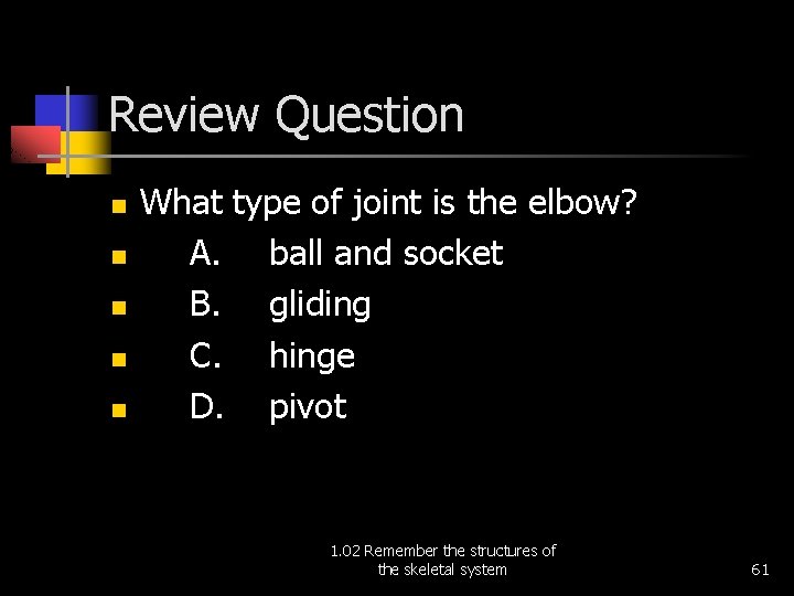 Review Question n n What type of joint is the elbow? A. ball and