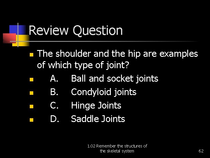 Review Question n n The shoulder and the hip are examples of which type