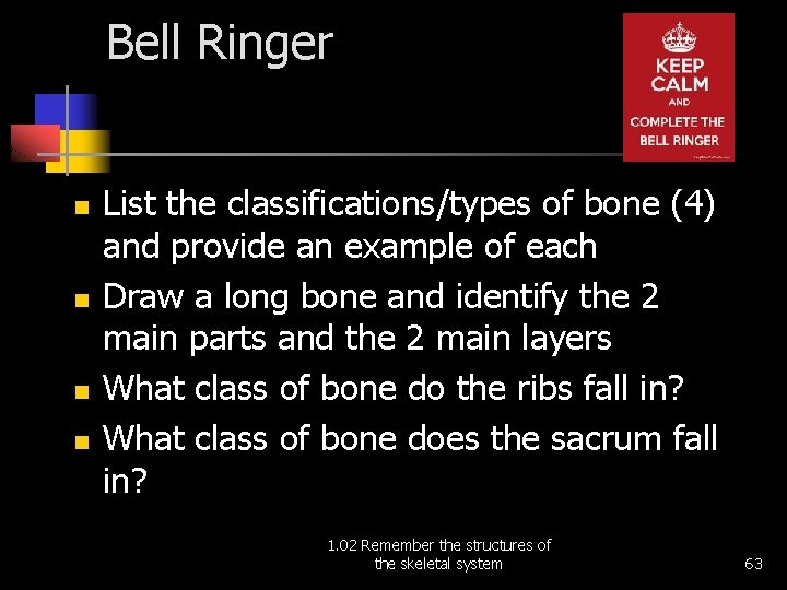 Bell Ringer n n List the classifications/types of bone (4) and provide an example