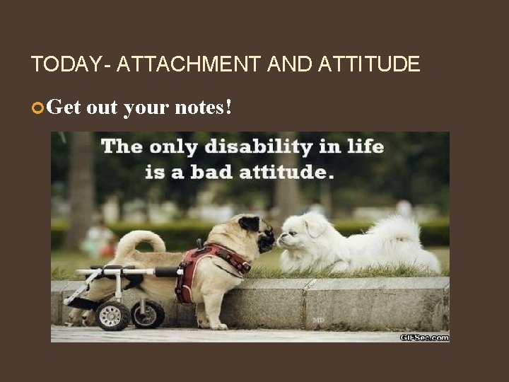 TODAY- ATTACHMENT AND ATTITUDE Get out your notes! 