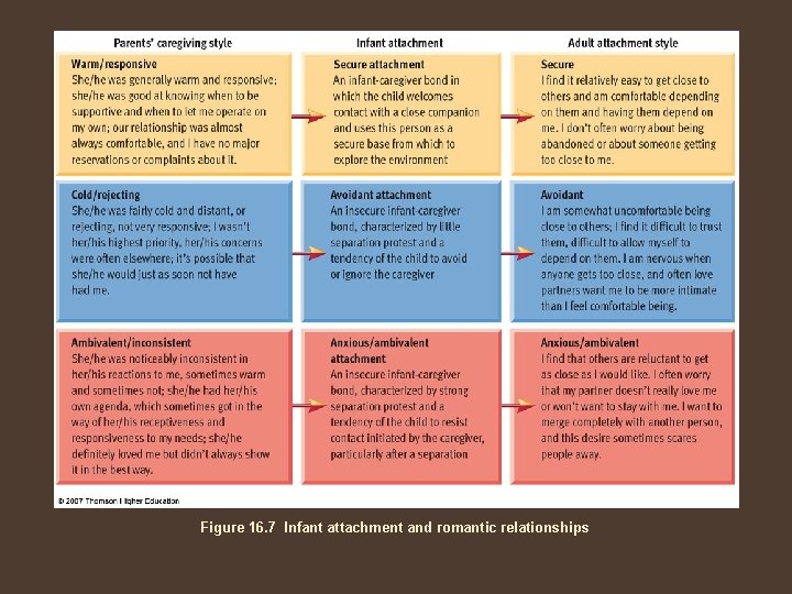 Figure 16. 7 Infant attachment and romantic relationships 