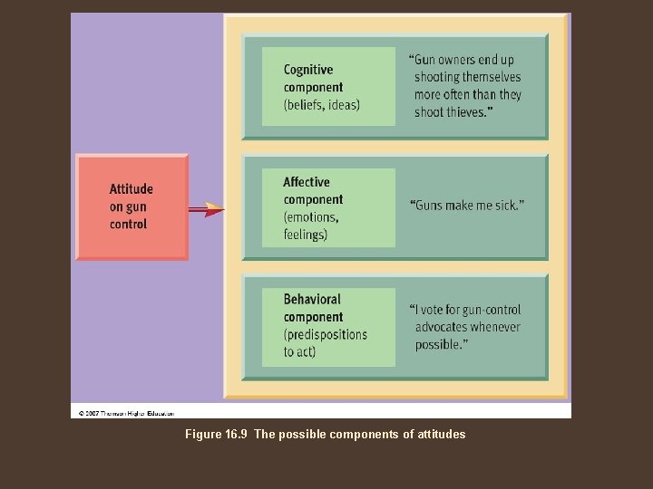 Figure 16. 9 The possible components of attitudes 