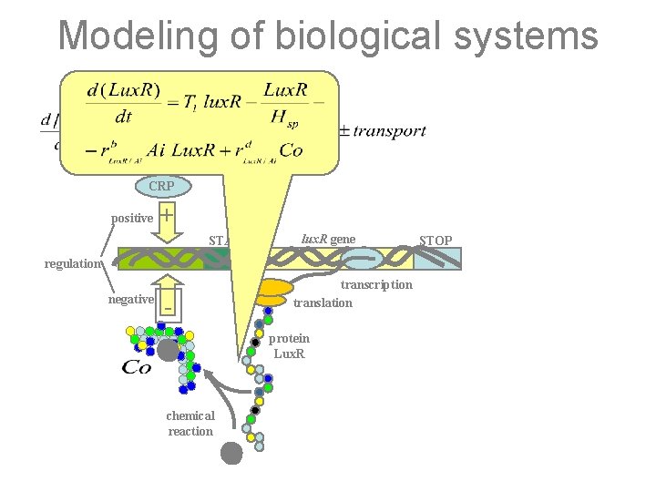 Modeling of biological systems CRP + positive START lux. R gene regulation negative transcription