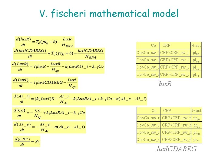 V. fischeri mathematical model Co CRP % act Co<Co_sw_l CRP<CRP_sw_l pl 00 Co<Co_sw_l CRP>CRP_sw_l