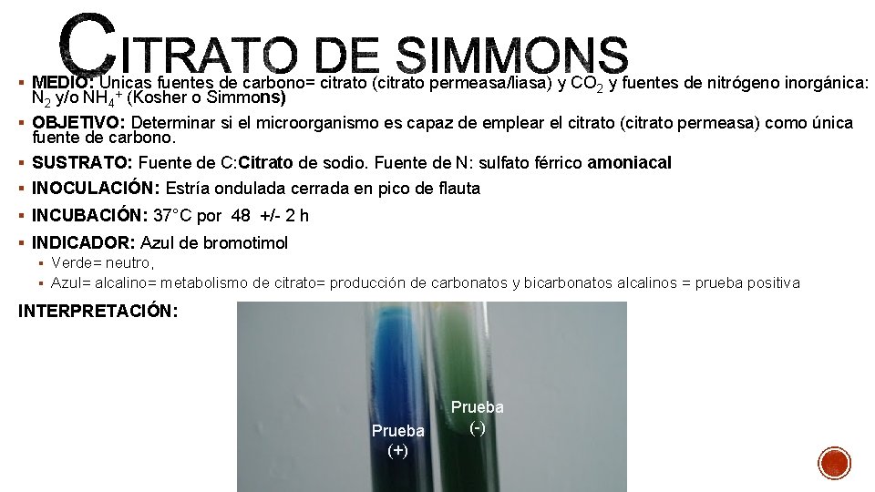 § MEDIO: Únicas fuentes de carbono= citrato (citrato permeasa/liasa) y CO 2 y fuentes