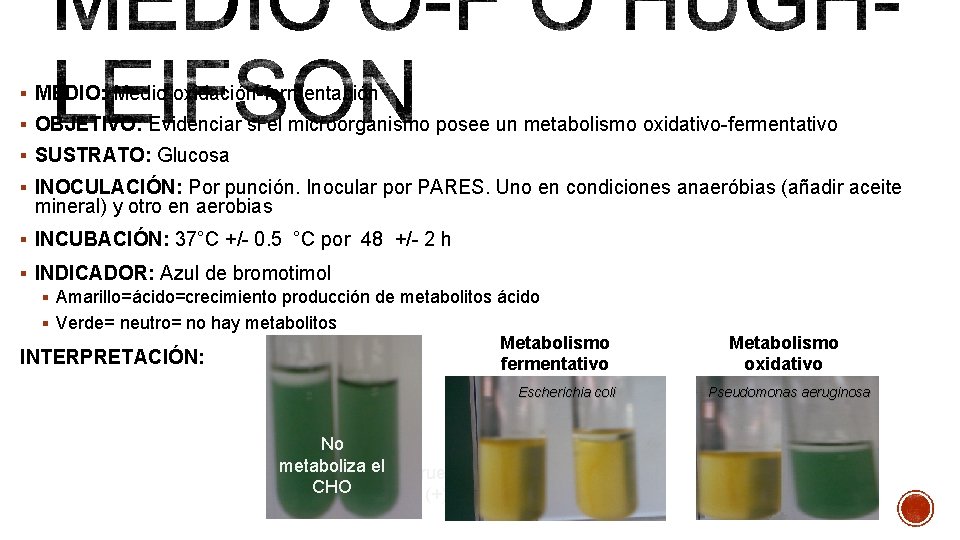 § MEDIO: Medio oxidación-fermentación § OBJETIVO: Evidenciar si el microorganismo posee un metabolismo oxidativo-fermentativo