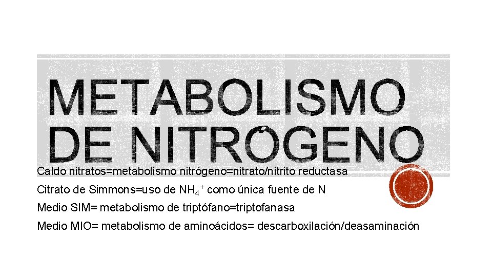 Caldo nitratos=metabolismo nitrógeno=nitrato/nitrito reductasa Citrato de Simmons=uso de NH 4+ como única fuente de