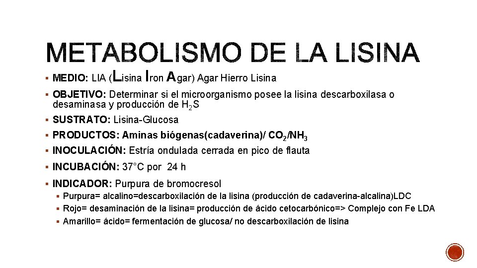 § MEDIO: LIA ( Lisina Iron Agar) Agar Hierro Lisina § OBJETIVO: Determinar si