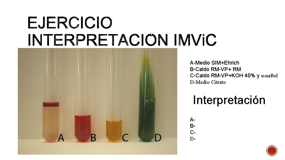 A-Medio SIM+Ehrich B-Caldo RM-VP+ RM C-Caldo RM-VP+KOH 40% y α-naftol D-Medio Citrato Interpretación ABCD-