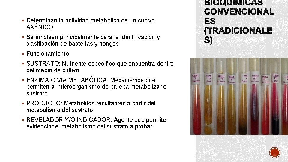 § Determinan la actividad metabólica de un cultivo AXÉNICO. § Se emplean principalmente para