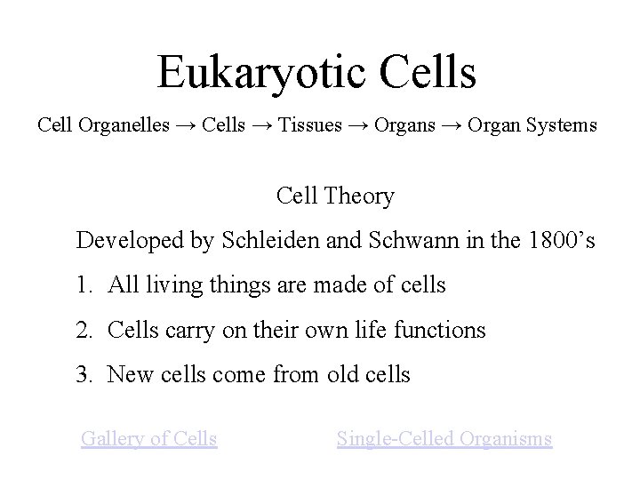 Eukaryotic Cells Cell Organelles → Cells → Tissues → Organ Systems Cell Theory Developed