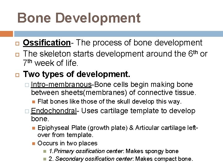 Bone Development Ossification- The process of bone development The skeleton starts development around the