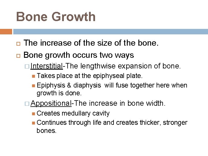 Bone Growth The increase of the size of the bone. Bone growth occurs two