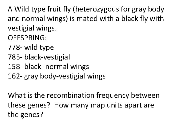 A Wild type fruit fly (heterozygous for gray body and normal wings) is mated