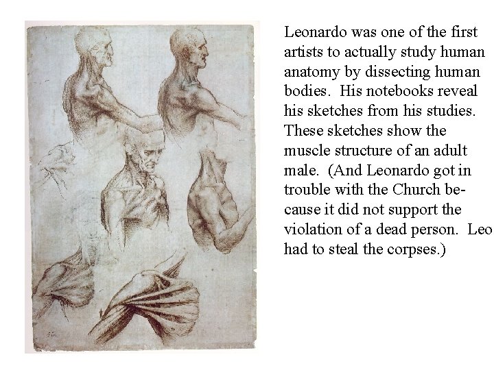 Leonardo was one of the first artists to actually study human anatomy by dissecting