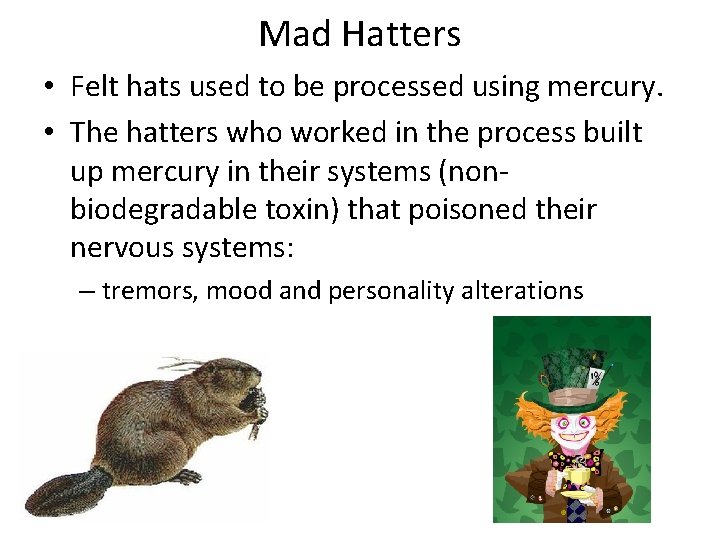 Mad Hatters • Felt hats used to be processed using mercury. • The hatters