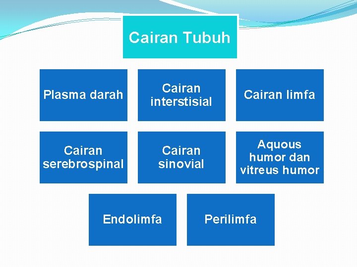 Cairan Tubuh Plasma darah Cairan interstisial Cairan limfa Cairan serebrospinal Cairan sinovial Aquous humor