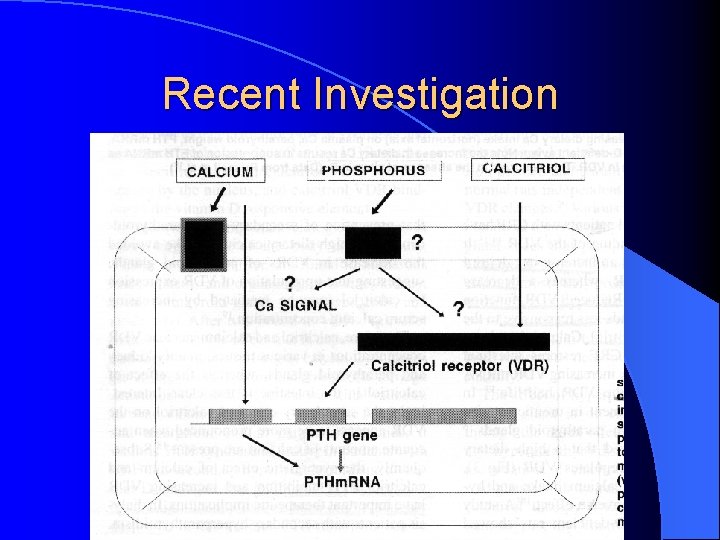 Recent Investigation 