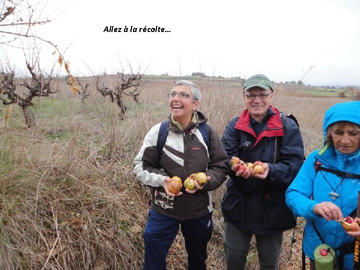 Allez à la récolte… 