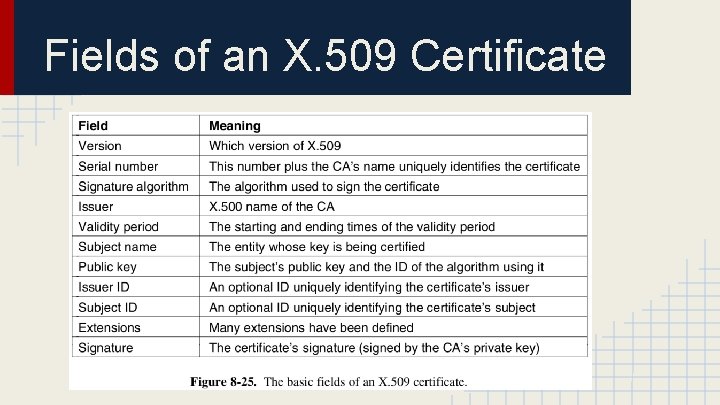 Fields of an X. 509 Certificate 