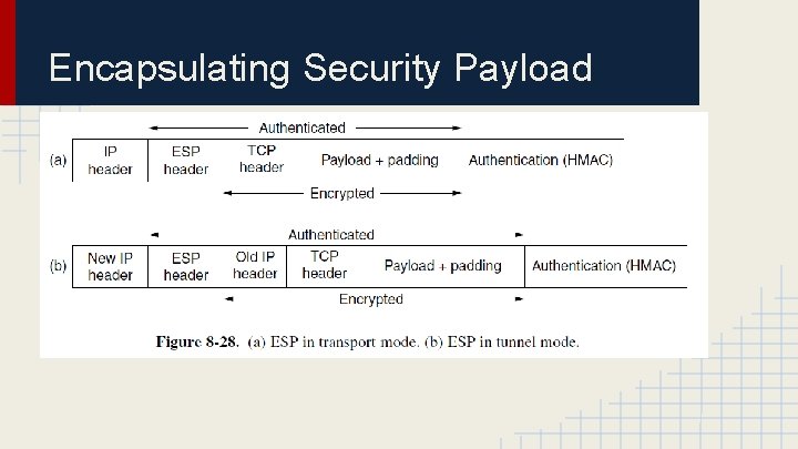 Encapsulating Security Payload 