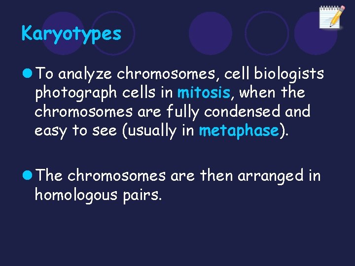 Karyotypes l To analyze chromosomes, cell biologists photograph cells in mitosis, when the chromosomes