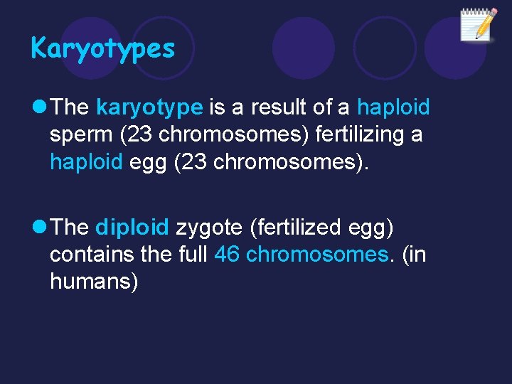 Karyotypes l The karyotype is a result of a haploid sperm (23 chromosomes) fertilizing