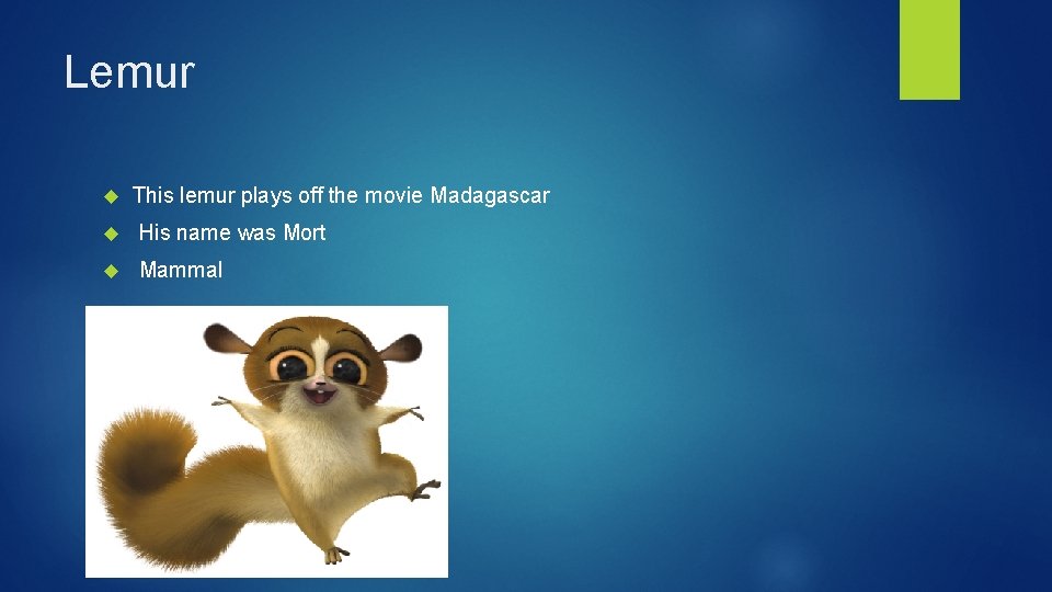 Lemur This lemur plays off the movie Madagascar His name was Mort Mammal 