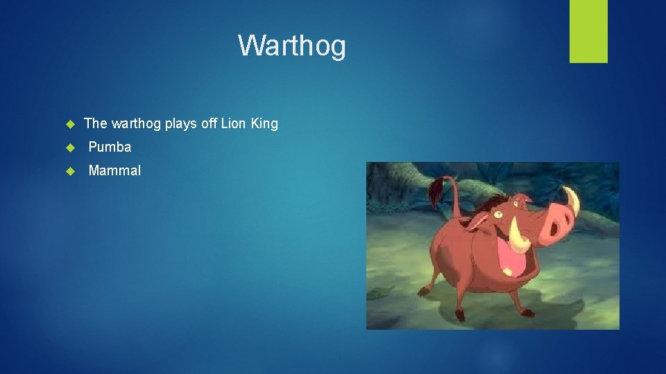 Warthog The warthog plays off Lion King Pumba Mammal 