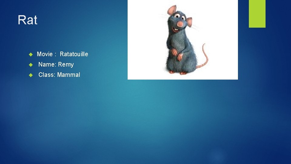 Rat Movie : Ratatouille Name: Remy Class: Mammal 