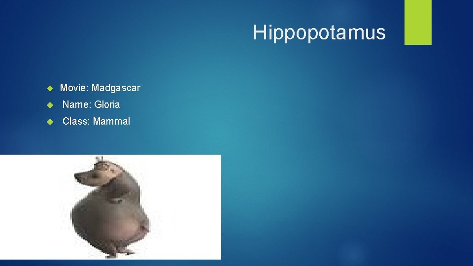 Hippopotamus Movie: Madgascar Name: Gloria Class: Mammal 