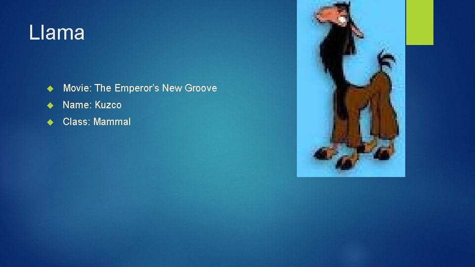 Llama Movie: The Emperor’s New Groove Name: Kuzco Class: Mammal 