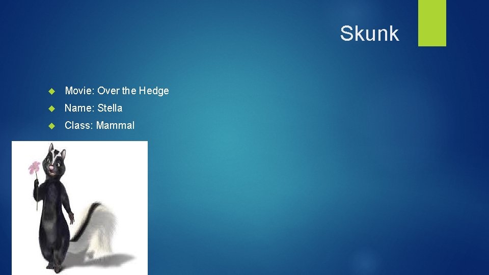 Skunk Movie: Over the Hedge Name: Stella Class: Mammal 