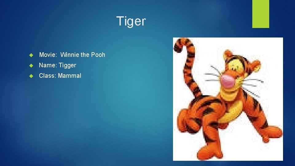 Tiger Movie: Winnie the Pooh Name: Tigger Class: Mammal 