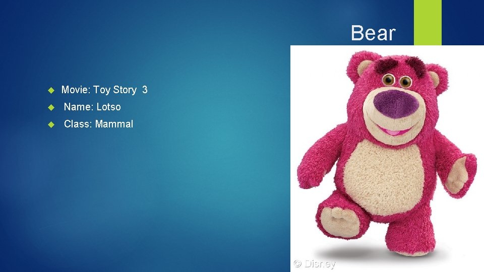 Bear Movie: Toy Story 3 Name: Lotso Class: Mammal 