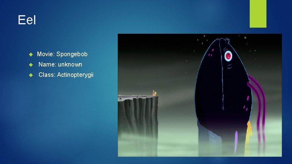 Eel Movie: Spongebob Name: unknown Class: Actinopterygii 
