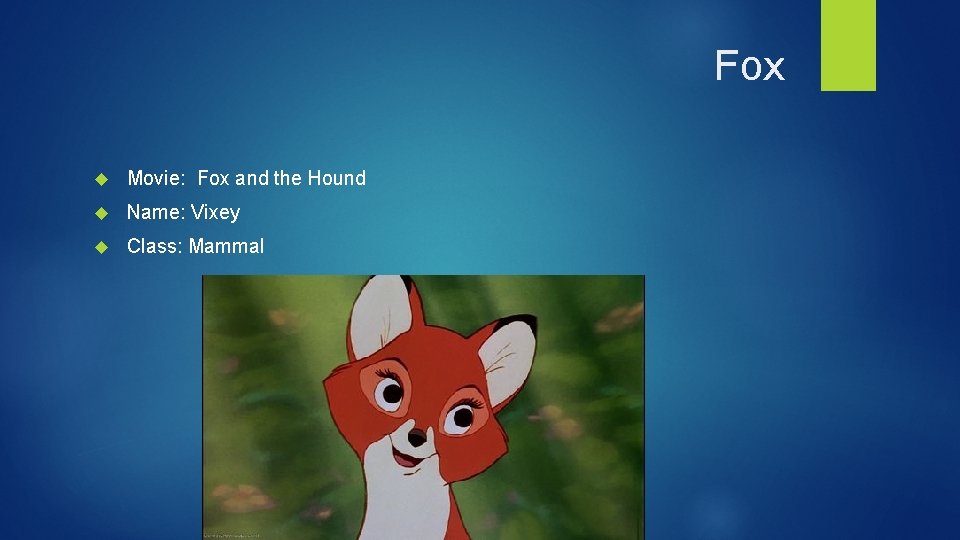 Fox Movie: Fox and the Hound Name: Vixey Class: Mammal 