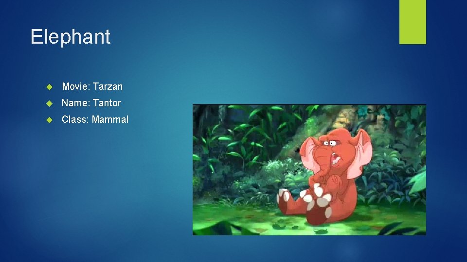 Elephant Movie: Tarzan Name: Tantor Class: Mammal 