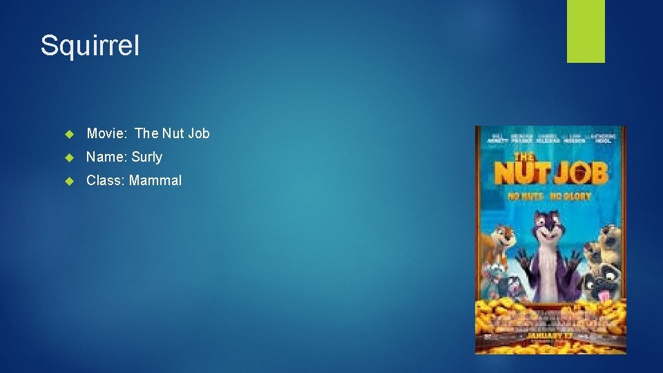 Squirrel Movie: The Nut Job Name: Surly Class: Mammal 