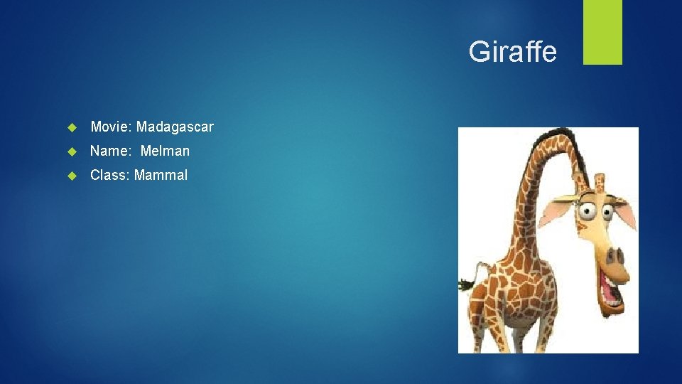 Giraffe Movie: Madagascar Name: Melman Class: Mammal 