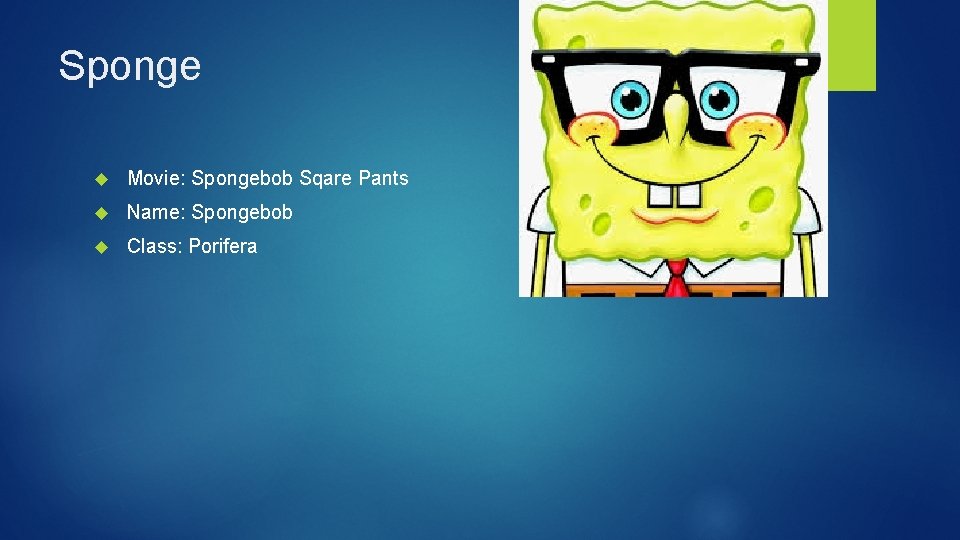 Sponge Movie: Spongebob Sqare Pants Name: Spongebob Class: Porifera 