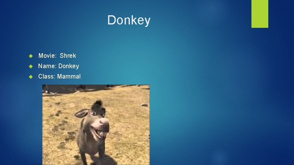 Donkey Movie: Shrek Name: Donkey Class: Mammal 